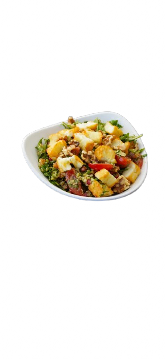 سلطة اسطنبول الخاصة